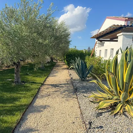 Dimora Calauriia - Adults Only